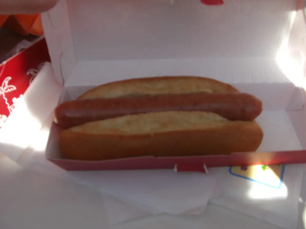 ２０１５年 平日 月曜日 冬の東京ディズニーランド アナ雪